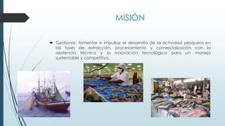 MISIÓN
 Gestionar, fomentar e impulsar el desarrollo de la actividad pesquera en
las fases de extracción, procesamiento y comercialización con la
asistencia técnica y la innovación tecnológica para un manejo
sustentable y competitivo.
 