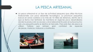 LA PESCA ARTESANAL
 La pesca artesanal es un tipo de actividad pesquera que utiliza técnicas
tradicionales con poco desarrollo tecnológico. La practican pequeños
barcos en zonas costeras a no más de 10 millas de distancia, dentro de lo
que se llama mar territorial. Se mantiene en regiones poco desarrolladas
donde la producción es escasa y sirve básicamente para el autoconsumo;
solo una pequeña parte se destina al mercado. Para este tipo de pesca se
utilizan Yariksas que extraen gran cantidad de especies
de peces, mariscos, moluscos y crustáceos.
 