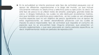  En la actualidad se intenta promover este tipo de actividad pesquera con el
apoyo de diferentes organizaciones a lo largo del mundo, ya que incluye
únicamente métodos no destructivos y selectivos para su ejecución; es decir, en
este tipo de pesca no se utilizan redes de arrastre, palangres, grandes redes de
cerco, ni dragas hidráulicas, las cuales no sólo destruyen ecosistemas marinos,
sino que también son prácticas poco selectivas , en las cuales se ven atrapadas
muchas especies que no son objetivo de pesca. Igualmente con el apoyo de
estas organizaciones, se vienen desarrollando proyectos con los cuales se
impulsa la pesca responsable; tipo de actividad que respalda el consumo de
especies que no se encuentren bajo ninguna amenaza, que presenten un
tamaño reglamentario, y que sean pescadas en ciertos periodos específicos, es
decir, implementando vedas en periodos de reproducción
 