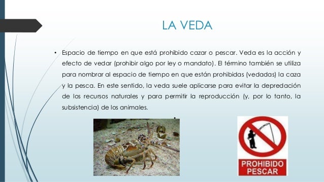 LA PEZCA EN EL ECUADOR