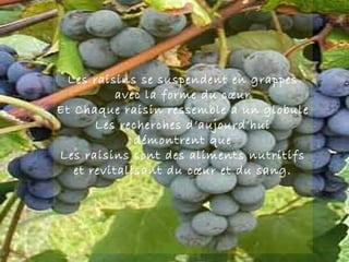Les raisins se suspendent en grappes
          avec la forme du cœur
Et Chaque raisin ressemble a un globule
       Les recherches d’aujourd’hui
              démontrent que
Les raisins sont des aliments nutritifs
   et revitalisant du cœur et du sang.
 