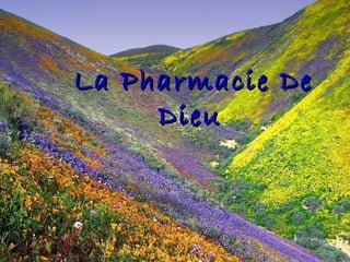 La Pharmacie DeLa Pharmacie De
DieuDieu
 
