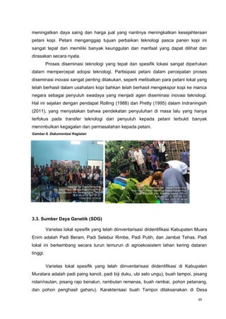 48
meningatkan daya saing dan harga jual yang nantinya meningkatkan kesejahteraan
petani kopi. Petani menganggap tujuan perbaikan teknologi pasca panen kopi ini
sangat tepat dan memiliki banyak keunggulan dan manfaat yang dapat dilihat dan
dirasakan secara nyata.
Proses diseminasi teknologi yang tepat dan spesifik lokasi sangat diperlukan
dalam mempercepat adopsi teknologi. Partisipasi petani dalam percepatan proses
diseminasi inovasi sangat penting dilakukan, seperti melibatkan para petani lokal yang
telah berhasil dalam usahatani kopi bahkan telah berhasil mengekspor kopi ke manca
negara sebagai penyuluh swadaya yang menjadi agen diseminasi inovasi teknologi.
Hal ini sejalan dengan pendapat Rolling (1988) dan Pretty (1995) dalam Indraningsih
(2011), yang menyatakan bahwa pendekatan penyuluhan di masa lalu yang hanya
terfokus pada transfer teknologi dari penyuluh kepada petani terbukti banyak
menimbulkan kegagalan dan permasalahan kepada petani.
Gambar.6. Dokumentasi Kegiatan
3.3. Sumber Daya Genetik (SDG)
Varietas lokal spesifik yang telah diinventarisasi diidentifikasi Kabupaten Muara
Enim adalah Padi Beram, Padi Selebur Rimbe, Padi Putih, dan Jambat Tehas. Padi
lokal ini berkembang secara turun temurun di agroekosistem lahan kering dataran
tinggi.
Varietas lokal spesifik yang telah diinventarisasi diidentifikasi di Kabupaten
Muratara adalah padi paing kancil, padi biji duku, ubi selo ungu), buah tampoi, pisang
rotan/rautan, pisang rajo benalun, rambutan remanas, buah rambai, pohon petanang,
dan pohon penghasil gaharu). Karakterisasi buah Tampoi dilaksanakan di Desa
 