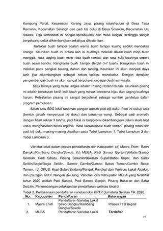 49
Kampung Portal, Kecamatan Karang Jaya, pisang rotan/rautan di Desa Taba
Remanik, Kecamatan Selangit dan padi biji duku di Desa Sosokan, Kecamatan Ulu
Rawas. Tiga komoditas ini sangat spesifik/unik dan mulai langka, sehingga sangat
berpeluang untuk dikembangkan sekaligus dilestarikan.
Karakter buah tampoi adalah warna buah tampoi kuning sedikit mendekati
orange. Keunikan buah ini antara lain isi buahnya melekat dalam buah mirip buah
manggis, rasa daging buah mirip rasa buah rambai dan rasa kulit buahnya seperti
buah asam kandis. Rangkaian buah Tampoi (terdiri 3-7 buah). Rangkaian buah ini
melekat pada pangkal batang, dahan dan ranting. Keunikan ini akan menjadi daya
tarik jika dikembangkan sebagai kebun koleksi monokultur. Dengan demikian
pengembangan buah ini akan sangat berpotensi sebagai destinasi wisata.
SDG lainnya yang mulai langka adalah Pisang Rotan/Rautan. Keunikan pisang
ini adalah berukuran kecil, kulit buah yang masak berwarna hijau dan daging buahnya
harum. Pelestarian pisang ini sangat berpotensi sebagai sumber gen/tetua dalam
program pemuliaan.
Salah satu SDG lokal tanaman pangan adalah padi biji duku. Padi ini cukup unik
(bentuk gabah menyerupai biji duku) dan berasnya wangi. Sebagai padi aromatik
dengan hasil sekitar 3 ton/ha, padi lokal ini berpotensi dikembangkan dalam skala luas
untuk menghasilkan beras organik. Hasil karakterisasi buah tampoi, pisang rotan dan
padi biji duku masing-masing disajikan pada Tabel Lampiran 1, Tabel Lampiran 2 dan
Tabel Lampiran 3.
Varietas lokal dalam proses pendaftaran dari Kabupaten: (a) Muara Enim: Sawo
Dangku/Rambang Dangku/Sawda, (b) MUBA: Padi Sanapi Genjah/Seilalan/Sanapi
Seilalan, Padi Sibatu, Pisang Bakaran/Bakaran Supat/Babat Supat, dan Salak
Seililin/Bagio/Bagio Seililin, Gambir Gambo/Gambo Babat Toman/Gambir Babat
Toman, (c) OKUS: Kopi Sutari/Sindang/Pondok Pangkul dan Varietas Lokal Alpukat,
dan (d) Ogan Ilir/OI: Nangka Belulang. Varietas lokal Kabupaten MUBA yang terdaftar
tahun 2020 adalah Padi Sanapi, Padi Sanapi Genjah, Pisang Bakaran dan Salak
SeiLilin. Perkembangan pelaksanaan pendaftaran varietas lokal di
Tabel 2. Pelaksanaan pendaftaran varietas lokal BPTP Sumatera Selatan TA. 2020.
No. Kabupaten Pendaftaran Keterangan
1. Muara Enim
Pendaftaran Varietas Lokal
Sawo Dangku/Rambang
Dangku/Sawda
Proses TTD Bupati
2. MUBA Pendaftaran Varietas Lokal Terdaftar
 