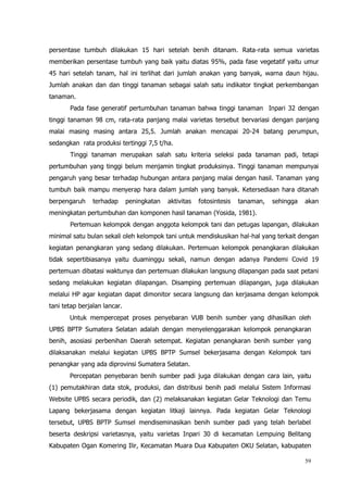 59
persentase tumbuh dilakukan 15 hari setelah benih ditanam. Rata-rata semua varietas
memberikan persentase tumbuh yang baik yaitu diatas 95%, pada fase vegetatif yaitu umur
45 hari setelah tanam, hal ini terlihat dari jumlah anakan yang banyak, warna daun hijau.
Jumlah anakan dan dan tinggi tanaman sebagai salah satu indikator tingkat perkembangan
tanaman.
Pada fase generatif pertumbuhan tanaman bahwa tinggi tanaman Inpari 32 dengan
tinggi tanaman 98 cm, rata-rata panjang malai varietas tersebut bervariasi dengan panjang
malai masing masing antara 25,5. Jumlah anakan mencapai 20-24 batang perumpun,
sedangkan rata produksi tertinggi 7,5 t/ha.
Tinggi tanaman merupakan salah satu kriteria seleksi pada tanaman padi, tetapi
pertumbuhan yang tinggi belum menjamin tingkat produksinya. Tinggi tanaman mempunyai
pengaruh yang besar terhadap hubungan antara panjang malai dengan hasil. Tanaman yang
tumbuh baik mampu menyerap hara dalam jumlah yang banyak. Ketersediaan hara ditanah
berpengaruh terhadap peningkatan aktivitas fotosintesis tanaman, sehingga akan
meningkatan pertumbuhan dan komponen hasil tanaman (Yosida, 1981).
Pertemuan kelompok dengan anggota kelompok tani dan petugas lapangan, dilakukan
minimal satu bulan sekali oleh kelompok tani untuk mendiskusikan hal-hal yang terkait dengan
kegiatan penangkaran yang sedang dilakukan. Pertemuan kelompok penangkaran dilakukan
tidak sepertibiasanya yaitu duaminggu sekali, namun dengan adanya Pandemi Covid 19
pertemuan dibatasi waktunya dan pertemuan dilakukan langsung dilapangan pada saat petani
sedang melakukan kegiatan dilapangan. Disamping pertemuan dilapangan, juga dilakukan
melalui HP agar kegiatan dapat dimonitor secara langsung dan kerjasama dengan kelompok
tani tetap berjalan lancar.
Untuk mempercepat proses penyebaran VUB benih sumber yang dihasilkan oleh
UPBS BPTP Sumatera Selatan adalah dengan menyelenggarakan kelompok penangkaran
benih, asosiasi perbenihan Daerah setempat. Kegiatan penangkaran benih sumber yang
dilaksanakan melalui kegiatan UPBS BPTP Sumsel bekerjasama dengan Kelompok tani
penangkar yang ada diprovinsi Sumatera Selatan.
Percepatan penyebaran benih sumber padi juga dilakukan dengan cara lain, yaitu
(1) pemutakhiran data stok, produksi, dan distribusi benih padi melalui Sistem Informasi
Website UPBS secara periodik, dan (2) melaksanakan kegiatan Gelar Teknologi dan Temu
Lapang bekerjasama dengan kegiatan litkaji lainnya. Pada kegiatan Gelar Teknologi
tersebut, UPBS BPTP Sumsel mendiseminasikan benih sumber padi yang telah berlabel
beserta deskripsi varietasnya, yaitu varietas Inpari 30 di kecamatan Lempuing Belitang
Kabupaten Ogan Komering Ilir, Kecamatan Muara Dua Kabupaten OKU Selatan, kabupaten
 