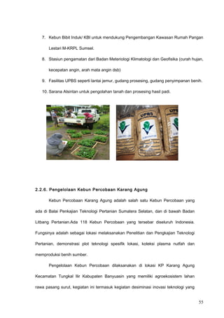 7. Kebun Bibit Induk/ KBI untuk mendukung Pengembangan Kawasan Rumah Pangan
Lestari M-KRPL Sumsel.
8. Stasiun pengamatan dari Badan Meteriologi Klimatologi dan Geofisika (curah hujan,
kecepatan angin, arah mata angin dsb)
9. Fasilitas UPBS seperti lantai jemur, gudang prosesing, gudang penyimpanan benih.
10. Sarana Alsintan untuk pengolahan tanah dan prosesing hasil padi.
2.2.6. Pengelolaan Kebun Percobaan Karang Agung
Kebun Percobaan Karang Agung adalah salah satu Kebun Percobaan yang
ada di Balai Penkajian Teknologi Pertanian Sumatera Selatan, dan di bawah Badan
Litbang Pertanian.Ada 118 Kebun Percobaan yang tersebar diseluruh Indonesia.
Fungsinya adalah sebagai lokasi melaksanakan Penelitian dan Pengkajian Teknologi
Pertanian, demonstrasi plot teknologi spesifik lokasi, koleksi plasma nutfah dan
memproduksi benih sumber.
Pengelolaan Kebun Percobaan dilaksanakan di lokasi KP Karang Agung
Kecamatan Tungkal Ilir Kabupaten Banyuasin yang memiliki agroekosistem lahan
rawa pasang surut, kegiatan ini termasuk kegiatan desiminasi inovasi teknologi yang
55
 