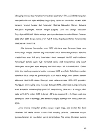 lebih yang diinisiasi Balai Penelitian Ternak Ciawi sejak tahun 1997. Ayam KUB merupakan
hasil pemuliaan dari ayam kampung unggul yang berada di Jawa Barat, indukan ayam
kampung tersebut berasal dari Kecamatan Cipanas Kabupaten Cianjur, Jatiwangi
Kabupaten Majalengka, Pondok Rangon (Depok), Ciawi dan Jasinga Kabupaten
Bogor.Ayam KUB telah dilepas sebagai galur ayam kampung baru oleh Menteri Pertanian
pada tahun 2014 dengan nama Ayam KUB-1 melalui Keputusan Menteri Pertanian No.
274/Kpts/SR.120/02/2014.
Ada beberapa keunggulan ayam KUB ketimbang ayam kampung biasa, yang
membuatnya menjadi alternatif bagi masyarakat untuk membudidayakannya. Pertama,
produksi telur ayam KUB yang diusahakan intensif mencapai 160-180 butir/induk/tahun.
Kemampuan bertelur ayam KUB meningkat karena sifat mengeramnya yang sudah
dihilangkan, sedangkan ayam kampung maksimal hanya 146 butir/induk/tahun. Kedua,
bobot telur saat ayam pertama bertelur mencapai 35-36 gram/butir. Bobot telurnya akan
bertambah terus sampai 45 gram/butir pada bulan kedua. Ketiga, umur pertama bertelur
lebih awal yakni 20-22 minggu. Keempat, bobot badan mencapai 1.200-1.600 gram/ekor.
Keunggulan lainnya yang paling menonjol dari ayam KUB adalah rasa daging ayam yang
enak. Komposisi kimiawi daging ayam KUB yang dipotong pada umur 10 minggu yakni,
kadar air 73,41 %, protein 24,55 %, lemak 1,83 % dan kolesterol 0,14 %. Meski sudah bisa
panen pada umur 10-12 minggu, sifat dan tekstur daging ayamnya tidak hilang (Sinar Tani,
2016).
Jamur merang merupakan produk pangan bergizi tinggi, rasa disukai dan dapat
dihasilkan dari media tumbuh biomasa hasil samping pertanian, peternakan maupun
biomasa tanaman air yang belum banyak dimanfaatkan. Ada sekitar 30 macam substrat
60
 