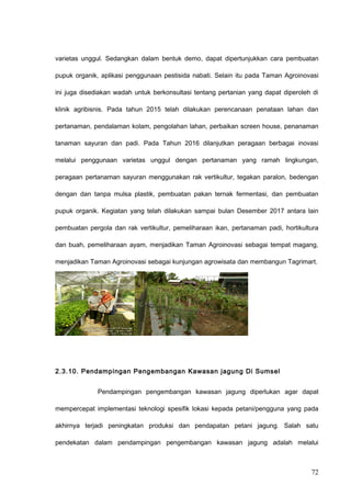varietas unggul. Sedangkan dalam bentuk demo, dapat dipertunjukkan cara pembuatan
pupuk organik, aplikasi penggunaan pestisida nabati. Selain itu pada Taman Agroinovasi
ini juga disediakan wadah untuk berkonsultasi tentang pertanian yang dapat diperoleh di
klinik agribisnis. Pada tahun 2015 telah dilakukan perencanaan penataan lahan dan
pertanaman, pendalaman kolam, pengolahan lahan, perbaikan screen house, penanaman
tanaman sayuran dan padi. Pada Tahun 2016 dilanjutkan peragaan berbagai inovasi
melalui penggunaan varietas unggul dengan pertanaman yang ramah lingkungan,
peragaan pertanaman sayuran menggunakan rak vertikultur, tegakan paralon, bedengan
dengan dan tanpa mulsa plastik, pembuatan pakan ternak fermentasi, dan pembuatan
pupuk organik. Kegiatan yang telah dilakukan sampai bulan Desember 2017 antara lain
pembuatan pergola dan rak vertikultur, pemeliharaan ikan, pertanaman padi, hortikultura
dan buah, pemeliharaan ayam, menjadikan Taman Agroinovasi sebagai tempat magang,
menjadikan Taman Agroinovasi sebagai kunjungan agrowisata dan membangun Tagrimart.
2.3.10. Pendampingan Pengembangan Kawasan jagung Di Sumsel
Pendampingan pengembangan kawasan jagung diperlukan agar dapat
mempercepat implementasi teknologi spesifik lokasi kepada petani/pengguna yang pada
akhirnya terjadi peningkatan produksi dan pendapatan petani jagung. Salah satu
pendekatan dalam pendampingan pengembangan kawasan jagung adalah melalui
72
 