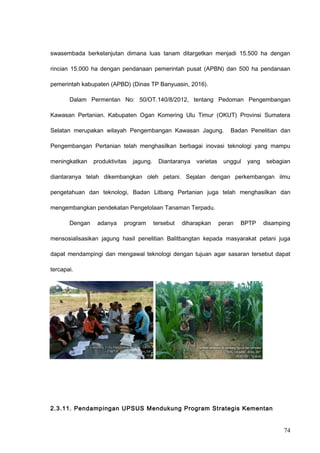 swasembada berkelanjutan dimana luas tanam ditargetkan menjadi 15.500 ha dengan
rincian 15.000 ha dengan pendanaan pemerintah pusat (APBN) dan 500 ha pendanaan
pemerintah kabupaten (APBD) (Dinas TP Banyuasin, 2016).
Dalam Permentan No: 50/OT.140/8/2012, tentang Pedoman Pengembangan
Kawasan Pertanian. Kabupaten Ogan Komering Ulu Timur (OKUT) Provinsi Sumatera
Selatan merupakan wilayah Pengembangan Kawasan Jagung. Badan Penelitian dan
Pengembangan Pertanian telah menghasilkan berbagai inovasi teknologi yang mampu
meningkatkan produktivitas jagung. Diantaranya varietas unggul yang sebagian
diantaranya telah dikembangkan oleh petani. Sejalan dengan perkembangan ilmu
pengetahuan dan teknologi, Badan Litbang Pertanian juga telah menghasilkan dan
mengembangkan pendekatan Pengelolaan Tanaman Terpadu.
Dengan adanya program tersebut diharapkan peran BPTP disamping
mensosialisasikan jagung hasil penelitian Balitbangtan kepada masyarakat petani juga
dapat mendampingi dan mengawal teknologi dengan tujuan agar sasaran tersebut dapat
tercapai.
2.3.11. Pendampingan UPSUS Mendukung Program Strategis Kementan
74
 