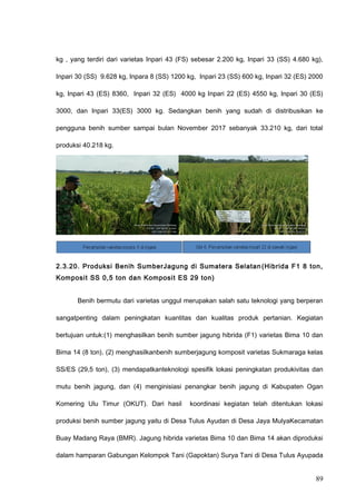 kg , yang terdiri dari varietas Inpari 43 (FS) sebesar 2.200 kg, Inpari 33 (SS) 4.680 kg),
Inpari 30 (SS) 9.628 kg, Inpara 8 (SS) 1200 kg, Inpari 23 (SS) 600 kg, Inpari 32 (ES) 2000
kg, Inpari 43 (ES) 8360, Inpari 32 (ES) 4000 kg Inpari 22 (ES) 4550 kg, Inpari 30 (ES)
3000, dan Inpari 33(ES) 3000 kg. Sedangkan benih yang sudah di distribusikan ke
pengguna benih sumber sampai bulan November 2017 sebanyak 33.210 kg, dari total
produksi 40.218 kg.
2.3.20. Produksi Benih SumberJagung di Sumatera Selatan (Hibrida F1 8 ton,
Komposit SS 0,5 ton dan Komposit ES 29 ton)
Benih bermutu dari varietas unggul merupakan salah satu teknologi yang berperan
sangatpenting dalam peningkatan kuantitas dan kualitas produk pertanian. Kegiatan
bertujuan untuk:(1) menghasilkan benih sumber jagung hibrida (F1) varietas Bima 10 dan
Bima 14 (8 ton), (2) menghasilkanbenih sumberjagung komposit varietas Sukmaraga kelas
SS/ES (29,5 ton), (3) mendapatkanteknologi spesifik lokasi peningkatan produkivitas dan
mutu benih jagung, dan (4) menginisiasi penangkar benih jagung di Kabupaten Ogan
Komering Ulu Timur (OKUT). Dari hasil koordinasi kegiatan telah ditentukan lokasi
produksi benih sumber jagung yaitu di Desa Tulus Ayudan di Desa Jaya MulyaKecamatan
Buay Madang Raya (BMR). Jagung hibrida varietas Bima 10 dan Bima 14 akan diproduksi
dalam hamparan Gabungan Kelompok Tani (Gapoktan) Surya Tani di Desa Tulus Ayupada
89
 