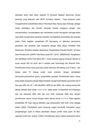 ekosistem lahan rawa lebak, kegiatan ini termasuk kegiatan desiminasi inovasi
teknologi yang dilakukan oleh BPTP Sumatera Selatan. Yang bertujuan untuk
mengoptimalkan pemanfaatan Kebun Percobaan Kayu Agung agar berfungsi sebagai
media pendidikan dan transfer teknologi kepada pengguna dengan cara
memperlihatkan, memperagakan dan memberikan contoh keunggulan sehingga lahan
rawa lebak menjadi lahan pertanian produktif, meningkatkan produktifitas dan produksi
petani. Pada kegiatan pengelolaan KP Kayuagung ini dilakukan penanaman
percobaan dan penelitian padi kerjasama dengan Balai Besar Penelitian Padi
Sukamandi. Penelitian tersebut diantaranya: Pengendalian Penyakit BLAST, Uji Daya
Hasil Pendahuluan (UDHP) Padi Rawa Lebak MT.1 2016, OBSERVASI Pengelolaan
dan Identifikasi Gulma Padi Rawa Set 1. Untuk tanaman jagung komposit ditanam di
surjan seluas 500 m2 terdiri dari 2 varietas yaitu Sukmaraga dan Srikandi Putih.
Pemeliharaan kebun karet yang siap sadap sebanyak 300 batang umur 6 tahun, dan
kelapa sawit 75 batang sudah mulai produksi, dengan pendekatan
pemupukan,pembersihan gulma, pengendalian penyakit. Pemeliharaan kebun entres
karet adalah kerjasama dengan Balai Penelitian Sungai Putih Medan yang terdiri dari 6
klon yaitu IRR 104, GT 1, BP 260,BPM 1,BPM 24 dan RRIC 100, masing-masing 600
batang. Dengan jarak tanam 1,2 X 1,2 m , waktu tanam 13 Nopember 2012.Budidaya
ikan nila sebanyak 2000 ekor dan ikan Patin sebanyak 2000 ekor dengan
pemeliharaan secara intensif dengan sistim waring ukuran 4 x 6 m. Pada kegiatan
pengelolaan KP Kayu Agung dilakukan juga perbanyakan bibit buah untuk sebagai
koleksi (SDG), Pembesaran ayam kampung unggul baru(KUB) merupakan upaya
pengembangan ayam di Kebun percobaan dengan jumlah induk ayam 16 ekor,
/pejantan 8 ekor,dan anakan, 9 DOC. Pemeliharaan kebun koleksi penanaman tahun
35
 