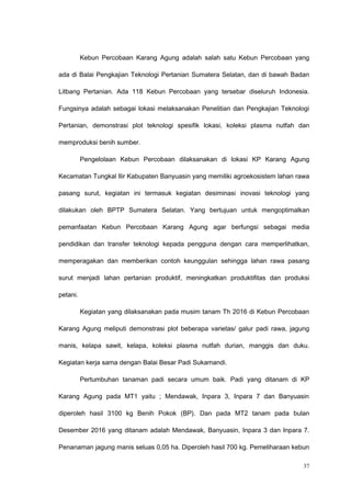 Kebun Percobaan Karang Agung adalah salah satu Kebun Percobaan yang
ada di Balai Pengkajian Teknologi Pertanian Sumatera Selatan, dan di bawah Badan
Litbang Pertanian. Ada 118 Kebun Percobaan yang tersebar diseluruh Indonesia.
Fungsinya adalah sebagai lokasi melaksanakan Penelitian dan Pengkajian Teknologi
Pertanian, demonstrasi plot teknologi spesifik lokasi, koleksi plasma nutfah dan
memproduksi benih sumber.
Pengelolaan Kebun Percobaan dilaksanakan di lokasi KP Karang Agung
Kecamatan Tungkal Ilir Kabupaten Banyuasin yang memiliki agroekosistem lahan rawa
pasang surut, kegiatan ini termasuk kegiatan desiminasi inovasi teknologi yang
dilakukan oleh BPTP Sumatera Selatan. Yang bertujuan untuk mengoptimalkan
pemanfaatan Kebun Percobaan Karang Agung agar berfungsi sebagai media
pendidikan dan transfer teknologi kepada pengguna dengan cara memperlihatkan,
memperagakan dan memberikan contoh keunggulan sehingga lahan rawa pasang
surut menjadi lahan pertanian produktif, meningkatkan produktifitas dan produksi
petani.
Kegiatan yang dilaksanakan pada musim tanam Th 2016 di Kebun Percobaan
Karang Agung meliputi demonstrasi plot beberapa varietas/ galur padi rawa, jagung
manis, kelapa sawit, kelapa, koleksi plasma nutfah durian, manggis dan duku.
Kegiatan kerja sama dengan Balai Besar Padi Sukamandi.
Pertumbuhan tanaman padi secara umum baik. Padi yang ditanam di KP
Karang Agung pada MT1 yaitu ; Mendawak, Inpara 3, Inpara 7 dan Banyuasin
diperoleh hasil 3100 kg Benih Pokok (BP). Dan pada MT2 tanam pada bulan
Desember 2016 yang ditanam adalah Mendawak, Banyuasin, Inpara 3 dan Inpara 7.
Penanaman jagung manis seluas 0,05 ha. Diperoleh hasil 700 kg. Pemeliharaan kebun
37
 