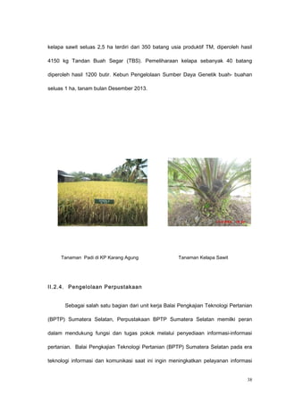 kelapa sawit seluas 2,5 ha terdiri dari 350 batang usia produktif TM, diperoleh hasil
4150 kg Tandan Buah Segar (TBS). Pemeliharaan kelapa sebanyak 40 batang
diperoleh hasil 1200 butir. Kebun Pengelolaan Sumber Daya Genetik buah- buahan
seluas 1 ha, tanam bulan Desember 2013.
Tanaman Padi di KP Karang Agung Tanaman Kelapa Sawit
II.2.4. Pengelolaan Perpustakaan
Sebagai salah satu bagian dari unit kerja Balai Pengkajian Teknologi Pertanian
(BPTP) Sumatera Selatan, Perpustakaan BPTP Sumatera Selatan memilki peran
dalam mendukung fungsi dan tugas pokok melalui penyediaan informasi-informasi
pertanian. Balai Pengkajian Teknologi Pertanian (BPTP) Sumatera Selatan pada era
teknologi informasi dan komunikasi saat ini ingin meningkatkan pelayanan informasi
38
 