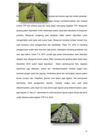 kompos dibangun untuk memproduksi kompos dari kotoran sapi dan limbah pertanian.
Laboratorium diseminasi dibangun sebagai tempat mendiseminasikan dan menjual
produk TTP dan produk yang lain yang dapat menunjang kegiatan TTP. Bangunan
gudang pakan digunakan untuk menyimpan pakan yang telah diproduksi di bangunan
produksi. Bangunan pengering padi berbahan bakar sekam digunakan untuk
mengeringkan padi pada saat cuaca hujan. Bangunan kandang terbagi menjadi dua,
yaitu kandang untuk penggemukan dan pembibitan. Pada T.A. 2016 ini kandang
penggemukan sudah terisi lima ekor sapi jantan, sedangkan kandang pembibitan dua
ekor sapi betina. Untuk T.A. 2017, jumlah sapi jantan direncanakan akan ditambah
delapan ekor. Bangunan kantor utama, RMU, kandang dan gudang pakan pada bulan
Desember 2016 sudah dapat digunakan. Selain pembangunan fisik, kegiatan
diseminasi juga dilakukan, antara lain: mendiseminasikan varietas unggul baru
tanaman pangan (padi dan jagung), hortikultura (jeruk dan semangka), hijauan pakan
ternak (rumput raja, indigofera, gamal), cara tanam jajar legowo, dan pemupukan
berimbang, serta penggunaan alsintan. Varietas unggul baru padi yang
didesiminasikan, yaitu Inpari 22. Cara tanam jajar legowo yang didesiminasikan, yaitu:
jajar legowo 2:1 dan 4:1. Sementara itu untuk tanaman hijauan pakan ternak dan jeruk
sudah ditanam pada kegiatan TTP T.A. 2015.
46
 