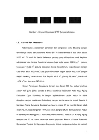 Gambar 1. Struktur Organisasi BPTP Sumatera Selatan
I.4. Sarana dan Prasarana
Keberhasilan pelaksanaan penelitian dan pengkajian perlu ditunjang dengan
tersedianya sarana dan prasarana. Kantor BPTP Sumsel berada di atas lahan seluas
5.100 m
2
. Di tanah ini berdiri beberapa gedung yang difungsikan untuk kegiatan
administrasi dan tenaga fungsional dengan luas lantai dasar 369,36 m
2
, gedung
keuangan 178,22 m
2
, gedung pelayanan teknis (laboratorium, perpustakaan) dengan
luas lantai dasar 470,69 m
2
, luas garasi kendaraan bagian bawah 173,46 m
2
dengan
bagian belakang berlantai dua, Pos Satpam 36,19 m
2
, gudang 78,59 m
2
, menara air
14,34 m
2
dan luas aula 648,65 m
2
.
Kebun Percobaan Kayuagung dengan luas lahan 26,6 ha, status tanahnya
adalah hak guna pakai. Berada di Desa Sidakersa Kecamatan Kota Kayu Agung
Kabupaten Ogan Komering Ilir dengan agroekosistem Lebak. Kebun ini dapat
dijangkau dengan mudah dari Palembang dengan kendaraan roda empat. Berada di
tepi jalan Trans Sumatera. Berdasarkan tipenya maka KP ini memiliki lahan lebak
dalam 49,4%, lebak tengahan 19,4% dan lebak dangkal 31,2% dari luas lahan. Kebun
ini berada pada ketinggian 31 m di atas permukaan laut. Adapun KP. Karang Agung
dengan luas 20 ha, status tanahnya adalah pinjaman. Berada di Desa Sukamulia
Kecamatan Tungkal Ilir Kabupaten Banyuasin. Untuk menjangkau kebun ini, setelah
5
Kelji Sosial
Ekonomi
Kelji Pasca
Panen
Kelji
Budidaya
Kelji
Sumberday
 
