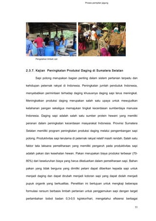 2.3.7. Kajian Peningkatan Produksi Daging di Sumatera Selatan
Sapi potong merupakan bagian penting dalam sistem pertanian terpadu dan
kehidupan peternak rakyat di Indonesia. Peningkatan jumlah penduduk Indonesia,
menyebabkan permintaan terhadap daging khususnya daging sapi terus meningkat.
Meningkatkan produksi daging merupakan salah satu upaya untuk mewujudkan
ketahanan pangan sekaligus memajukan tingkat kecerdasan sumberdaya manusia
Indonesia. Daging sapi adalah salah satu sumber protein hewani yang memliki
peranan dalam peningkatan kecerdasan masyarakat Indonesia. Provinsi Sumatera
Selatan memiliki program peningkatan produksi daging melalui pengembangan sapi
potong. Produktivitas sapi terutama di peternak rakyat relatif masih rendah. Salah satu
faktor tata laksana pemeliharaan yang memiliki pengaruh pada produktivitas sapi
adalah pakan dan kesehatan hewan. Pakan merupakan biaya produksi terbesar (70-
80%) dari keseluruhan biaya yang harus dikeluarkan dalam pemeliharaan sapi. Bahan
pakan yang tidak berguna yang dimiliki petani dapat diberikan kepada sapi untuk
menjadi daging dan dapat dirubah menjadi kotoran sapi yang dapat diolah menjadi
pupuk organik yang berkualitas. Penelitian ini bertujuan untuk mengkaji beberapa
formulasi ransum berbasis limbah pertanian untuk penggemukan sapi dengan target
pertambahan bobot badan 0,3-0,5 kg/ekor/hari, mengetahui efisiensi berbagai
55
Pengolahan limbah cair
Proses pemipilan jagung
 