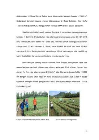 dilaksanakan di Desa Sungai Belida pada lahan petani dengan luasan ± 2500 m².
Sedangkan demplot bawang merah dilaksanakan di Desa Sukorejo Kec. SLTU
Terawas Kabupaten Mura, menggunakan varietas BIMA Brebes seluas ±2500 m².
Hasil demplot cabai merah varietas Kencana, di persemaian menunjukkan daya
tumbuh > dari 95%. Pertumbuhan rata-rata tinggi tanaman pada umur 20 HST (27,8
cm), 40 HST (44,6 cm) dan 60 HST (53,8 cm), rata-rata jumlah cabang pada tanaman
sampel umur 20 HST rata-rata 6,7 buah; umur 40 HST 8,6 buah dan umur 60 HST
mencapai 9,5 cm. Sedangkan hasil panen hanya 12 kali petik dengan total hasil 86 kg.
hal ini disebabkan Karena demplot terkena virus kuning dan trips.
Hasil demplot bawang merah varietas Bima Brebes; brangkasan pada saat
panen berdasarkan hasil ubinan yang diulang sebanyak 5 kali ubinan, dengan luas
ubinan 1 x 1 m, rata-rata mencapai 2,98 kg/m². jika dikonversi dengan hektar (10.000
m²) dengan efisiensi lahan 7500 m², maka produksinya adalah ; 2,98 x 7500 = 22.350
kg/hektar. Dengan asumsi penyusutan ± 50%, maka produksinya mencapai 11,175
ton/ha kering jual
Kondisi pertanaman bawang merah di Kab. Mura Lokasi demplot bawang merah
78
 