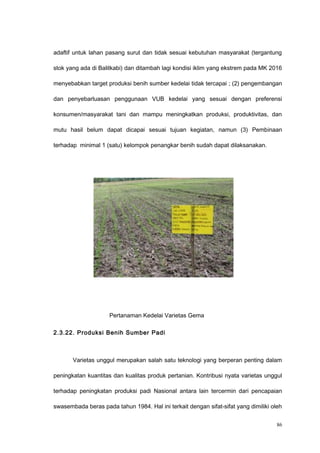adaftif untuk lahan pasang surut dan tidak sesuai kebutuhan masyarakat (tergantung
stok yang ada di Balitkabi) dan ditambah lagi kondisi iklim yang ekstrem pada MK 2016
menyebabkan target produksi benih sumber kedelai tidak tercapai ; (2) pengembangan
dan penyebarluasan penggunaan VUB kedelai yang sesuai dengan preferensi
konsumen/masyarakat tani dan mampu meningkatkan produksi, produktivitas, dan
mutu hasil belum dapat dicapai sesuai tujuan kegiatan, namun (3) Pembinaan
terhadap minimal 1 (satu) kelompok penangkar benih sudah dapat dilaksanakan.
Pertanaman Kedelai Varietas Gema
2.3.22. Produksi Benih Sumber Padi
Varietas unggul merupakan salah satu teknologi yang berperan penting dalam
peningkatan kuantitas dan kualitas produk pertanian. Kontribusi nyata varietas unggul
terhadap peningkatan produksi padi Nasional antara lain tercermin dari pencapaian
swasembada beras pada tahun 1984. Hal ini terkait dengan sifat-sifat yang dimiliki oleh
86
 