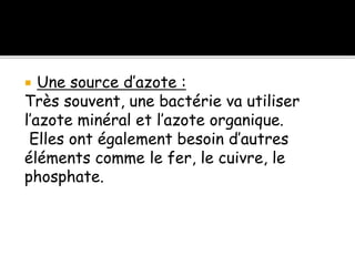  Une source d’azote :
Très souvent, une bactérie va utiliser
l’azote minéral et l’azote organique.
Elles ont également besoin d’autres
éléments comme le fer, le cuivre, le
phosphate.
 
