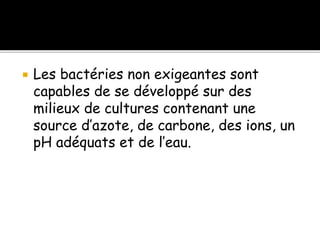  Les bactéries non exigeantes sont
capables de se développé sur des
milieux de cultures contenant une
source d’azote, de carbone, des ions, un
pH adéquats et de l’eau.
 