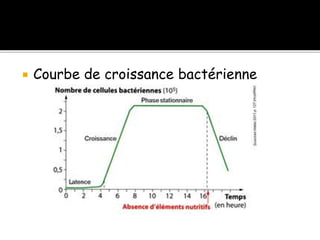  Courbe de croissance bactérienne
 