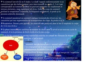 le sommeil lent divisé en 4 stades. Le stade 1appelé endormissement va se
caractériser par des hallucinations, puis interviennent les stades 2, 3 et 4 qui
correspondent au sommeil profond où peuvent apparaître les cauchemars et
terreurs nocturnes, mais également les rêves. Enfin au cours du sommeil
profond la température corporelle, la fréquence respiratoire, le pouls et la
pression artérielle diminuent.

   le sommeil paradoxal ou sommeil onirique (sommeil des rêves) est, lui,
caractérisé par une augmentation de la température du corps, du pouls et de la
  Respiration. Durant cette période, les muscles sont paralysés dans le but d’empêcher le corps
de vivre nos rêves.
  la phase intermédiaire constitue le moment du choix entre le réveil et un nouveau cycle de
sommeil, d’où la présence de brefs éveils à la fin des cycles.
Vers
Aux la fin du sommeil, le cerveau reprend de nouveau en compte les éléments du monde
                           extérieur: c’est le réveil.
                              Lexique :
                              • sommeil: état physiologique (= normal) temporaire
                              s’accompagnant de la suppression de la vigilance et du
                              ralentissement du métabolisme de base.
                              • métabolisme de base: dépense minimale d’énergie de l’organisme
                              pour assurer sa survie.
                              • hypothalamus:glande située à la base du cerveau contrôlant une
                              partie du système nerveux et régulant le taux de plusieurs hormones.
 