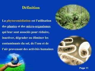 Pour plus de modèles : Modèles Powerpoint PPT gratuits 
Page 11 
Définition 
La phytoremédiation est l'utilisation 
des plantes et des micro-organismes 
qui leur sont associés pour réduire, 
inactiver, dégrader ou éliminer les 
contaminants du sol, de l’eau et de 
l’air provenant des activités humaines 
 