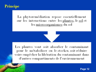 Pour plus de modèles : Modèles Powerpoint PPT gratuits 
Page 12 
Principe 
 