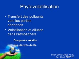 Pour plus de modèles : Modèles Powerpoint PPT gratuits 
Page 15 
Phytovolatilisation 
Pilon-Smits 2005 Annu 
Rev Plant Biol 
• Transfert des polluants 
vers les parties 
aériennes 
• Volatilisation et dilution 
dans l’atmosphère 
Composés volatils : 
•Hg, dérivés du Se 
•TCE 
 