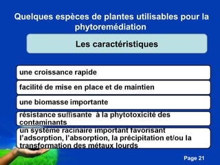 Quelques espèces de plantes utilisables pour la 
Pour plus de modèles : Modèles Powerpoint PPT gratuits 
Page 21 
phytoremédiation 
Les caractéristiques 
 