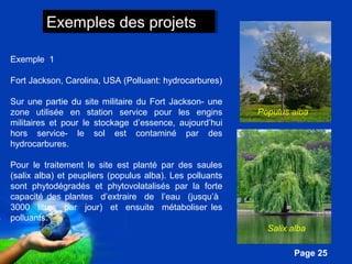 Pour plus de modèles : Modèles Powerpoint PPT gratuits 
Populus alba 
Page 25 
EExxeemmpplleess ddeess pprroojjeettss 
Exemple 1 
Fort Jackson, Carolina, USA (Polluant: hydrocarbures) 
Sur une partie du site militaire du Fort Jackson- une 
zone utilisée en station service pour les engins 
militaires et pour le stockage d’essence, aujourd’hui 
hors service- le sol est contaminé par des 
hydrocarbures. 
Pour le traitement le site est planté par des saules 
(salix alba) et peupliers (populus alba). Les polluants 
sont phytodégradés et phytovolatalisés par la forte 
capacité des plantes d’extraire de l’eau (jusqu’à 
3000 litres par jour) et ensuite métaboliser les 
polluants. 
Salix alba 
 