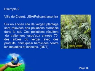Pour plus de modèles : Modèles Powerpoint PPT gratuits 
Pteriis vittata 
Page 26 
Exemple 2 
Ville de Crozet, USA(Polluant:arsenic) 
Sur un ancien site de verger/ plantage 
sont relevées des pollutions d‘arsenic 
dans le sol. Ces pollutions résultent 
du traitement jusqu‘aux années 70 
des arbres du verger avec des 
produits chimiques/ herbicides contre 
les maladies et insectes. (DDT) 
 