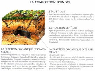 Pour plus de modèles : Modèles Powerpoint PPT gratuits 
Page 5 
 