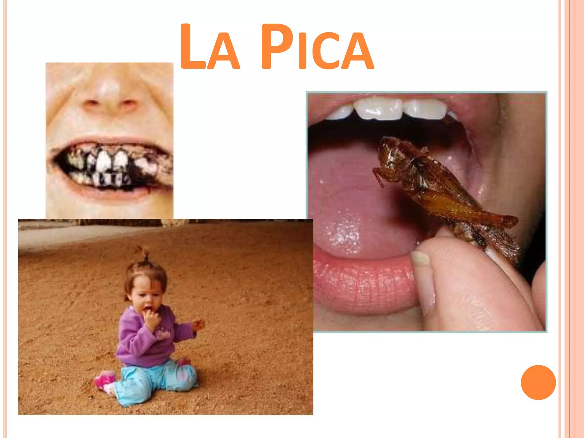 La Pica PPT
