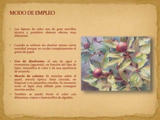  Los lápices de color son de gran sencillez
técnica y permiten obtener efectos muy
diferentes.
 Cuando se utilizan sin d...