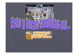 Lapidas Reales De Mexico