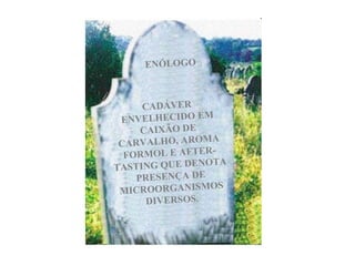 CADÁVER ENVELHECIDO EM CAIXÃO DE CARVALHO, AROMA FORMOL E AFTER-TASTING QUE DENOTA PRESENÇA DE MICROORGANISMOS DIVERSOS. ENÓLOGO 