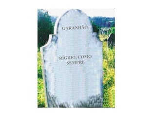 RÍGIDO, COMO SEMPRE GARANHÃO 