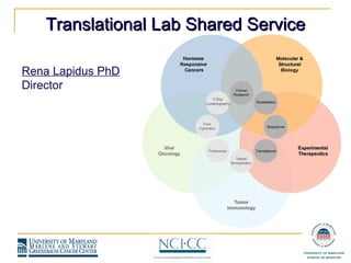 Rena Lapidus PhD Director Translational Lab Shared Service 