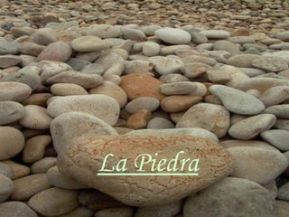 La Piedra 