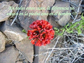En todos estos casos, la diferencia no estuvo en la piedra sino en el hombre !!!