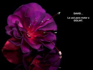 DAVID…
La usó para matar a
GOLIAT.

 