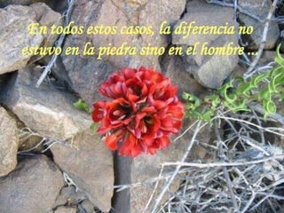 En todos estos casos, la diferencia no
      estuvo en la piedra sino en el hombre ...




sonialilianafio@yahoo.com.ar
 