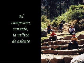 El
               campesino,
                cansado,
                la utilizó
               de asiento


sonialilianafio@yahoo.com.ar
 