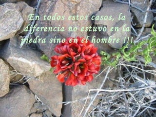 En todos estos casos, la
                diferencia no estuvo en la
               piedra sino en el hombre !!!




sonialilianafio@yahoo.com.ar
 