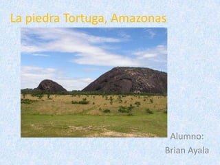 La piedra Tortuga, Amazonas




                           Alumno:
                          Brian Ayala
 