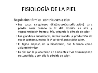 FISIOLOGÍA DE LA PIEL Regulación térmica: contribuyen a ello: Los vasos sanguíneos dilatándose(vasodilatación) para perder calor cuando la tª del exterior es alta y vasoconstricción frente al frío, evitando la pérdida de calor. Las glándulas sudoríparas, intensificando la producción de sudor cuando aumenta la tª corporal, para ceder calor. El tejido adiposo de la hipodermis, que funciona como aislante térmico. La piel con la piloerección en ambientes fríos disminuyendo su superficie, y con ello la pérdida de calor. 