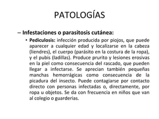 PATOLOGÍAS Infestaciones o parasitosis cutánea: Pediculosis:  infección producida por piojos, que puede aparecer a cualquier edad y localizarse en la cabeza (liendres), el cuerpo (parásito en la costura de la ropa), y el pubis (ladillas). Produce prurito y lesiones erosivas en la piel como consecuencia del rascado, que pueden llegar a infectarse. Se aprecian también pequeñas manchas hemorrágicas como consecuencia de la picadura del insecto. Puede contagiarse por contacto directo con personas infectadas o, directamente, por ropa u objetos. Se da con frecuencia en niños que van al colegio o guarderias. 