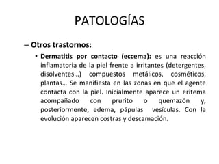 PATOLOGÍAS Otros trastornos: Dermatitis por contacto (eccema):  es una reacción inflamatoria de la piel frente a irritantes (detergentes, disolventes…) compuestos metálicos, cosméticos, plantas… Se manifiesta en las zonas en que el agente contacta con la piel. Inicialmente aparece un eritema acompañado con prurito o quemazón y, posteriormente, edema, pápulas  vesículas. Con la evolución aparecen costras y descamación. 