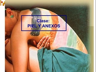 Clase:
PIEL Y ANEXOS




                1
 